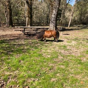 Meet your Posher, Ibrahim